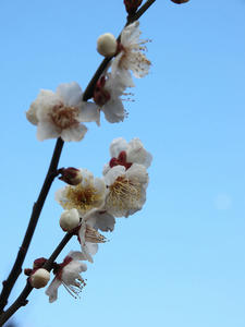 20110221_759shuusei.jpg