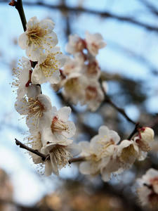 20110221_761shuusei.jpg