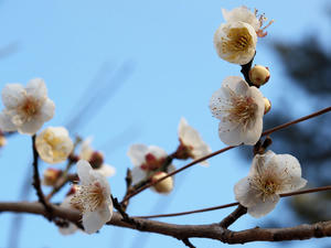 20110221_770shuusei.jpg