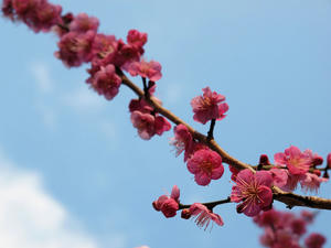 20110221_774shuusei.jpg