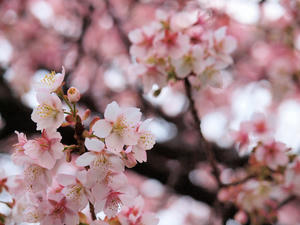 20110225_4shuusei.jpg