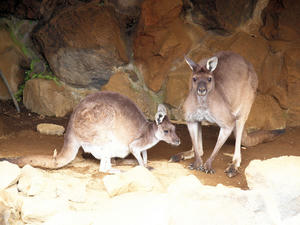20110225_20shuusei.jpg