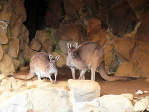 20110225_25shuusei.jpg