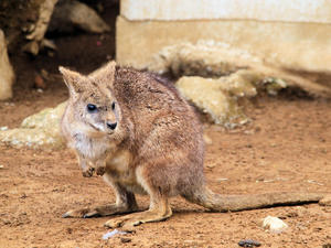 20110225_30shuusei.jpg