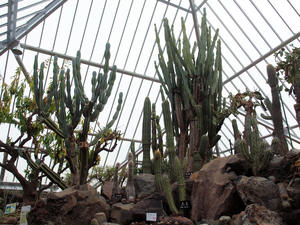 20110225_90shuusei.jpg