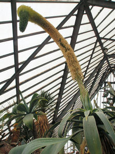 20110225_170shuusei.jpg