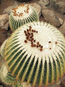 20110225_174shuusei.jpg