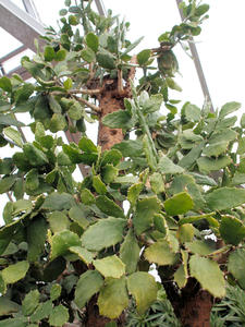 20110225_106shuusei.jpg