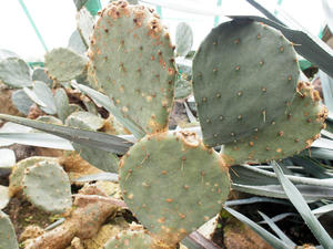 20110225_181shuusei.jpg