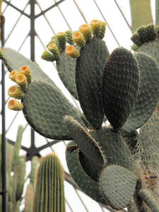 20110225_195shuusei.jpg
