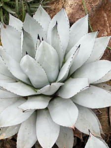 20110225_191shuusei.jpg