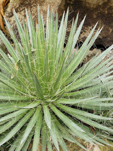 20110225_189shuusei.jpg