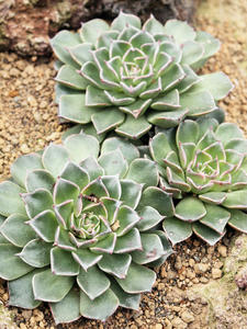 20110225_187shuusei.jpg