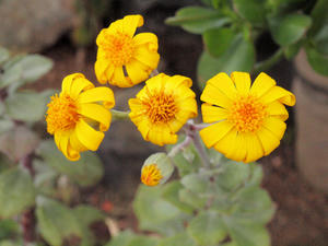 20110225_124shuusei.jpg