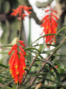 20110225_130shuusei.jpg