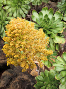 20110225_136shuusei.jpg