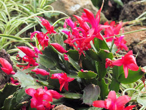 20110225_139shuusei.jpg