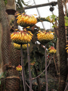 20110225_147shuusei.jpg