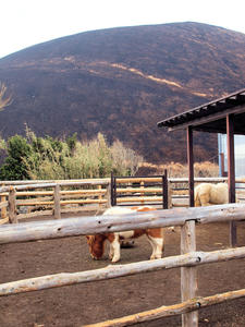 20110225_80shuusei.jpg