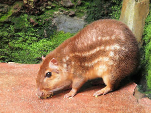 20110225_160shuusei.jpg