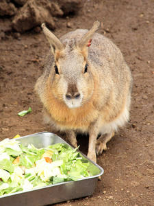20110225_299shuusei.jpg