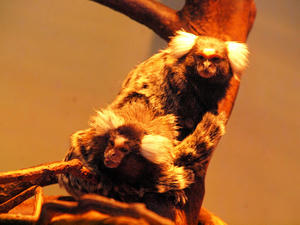 20110225_307shuusei.jpg