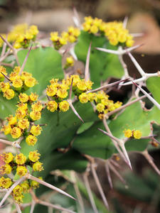 20110225_436shuusei.jpg