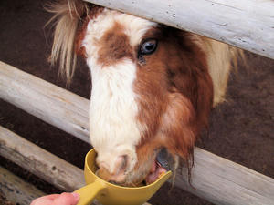 20110225_412shuusei.jpg