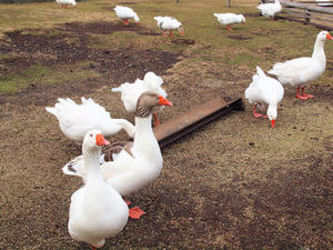 20110225_82shuusei.jpg
