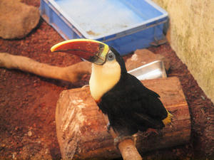 20110225_151shuusei.jpg