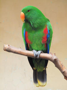 20110225_152shuusei.jpg