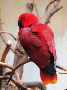 20110225_155shuusei.jpg