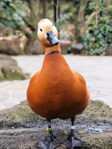 20110225_449shuusei.jpg