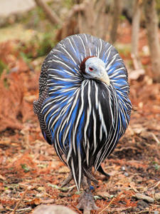 20110225_453shuusei.jpg