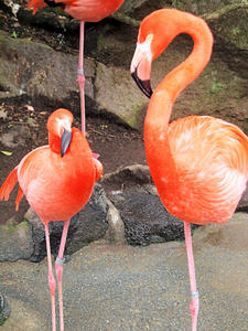 20110225_497shuusei.jpg