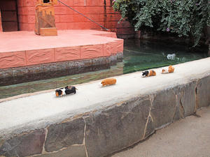 20110225_390shuusei.jpg