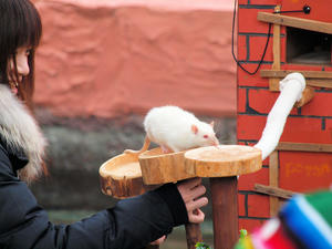 20110225_200shuusei.jpg