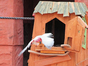 20110225_341shuusei.jpg