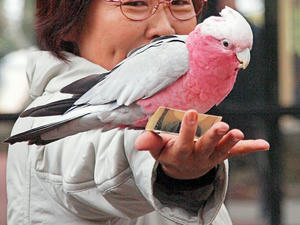 20110225_354shuusei.jpg