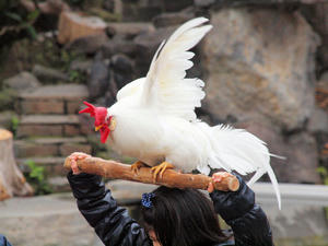 20110225_360shuusei.jpg