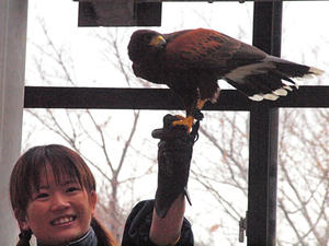 20110225_382shuusei.jpg