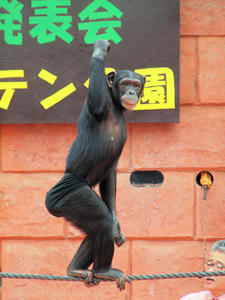 20110225_533shuusei.jpg
