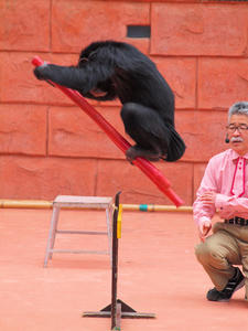 20110225_550shuusei.jpg