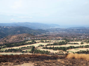 20110225_619shuusei.jpg