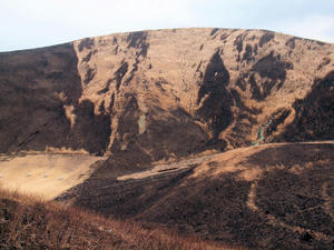 20110225_625shuusei.jpg