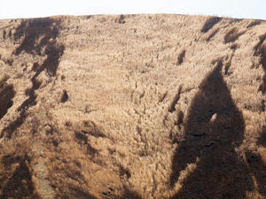 20110225_626shuusei.jpg