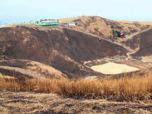 20110225_637shuusei.jpg