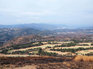 20110225_664shuusei.jpg