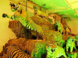 20110225_679shuusei.jpg