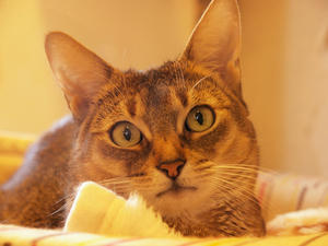 20110225_682shuusei.jpg